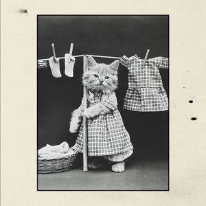 Every effort is made to ensure fur free clothes!